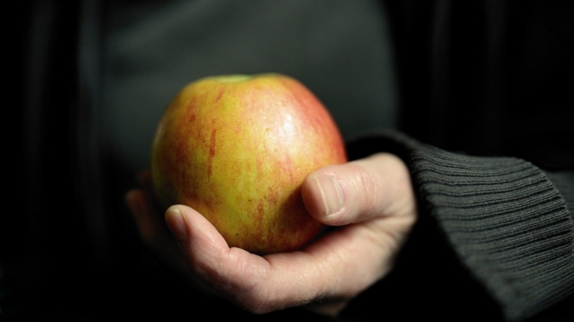 apple, hand, keep-5391076.jpg